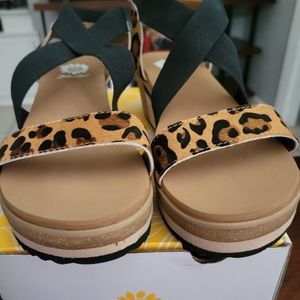 YELLOWBOX Janalee Leopard print sandals size 9. New with Box.